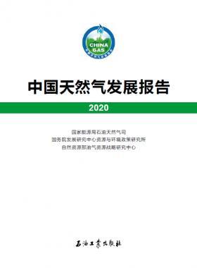 2020中國天然氣發(fā)展報(bào)告（含2017、2018、2019、2020）